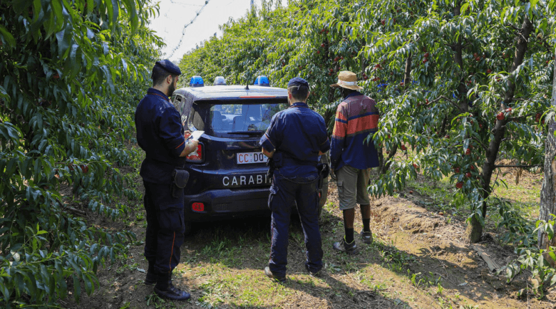Controlli anti caporalato a Saluzzo, nel cuneese: due Carabinieri e un lavoratore extracomunitario