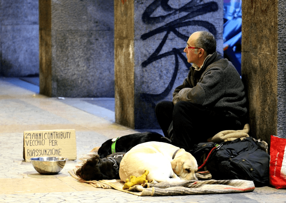 Un clochard sotto i portici di Milano, con tre cani e un cartello